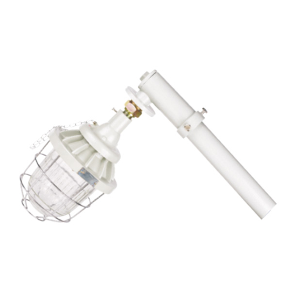 DCM 系列防爆馬路燈(ⅡB、ⅡC、e)